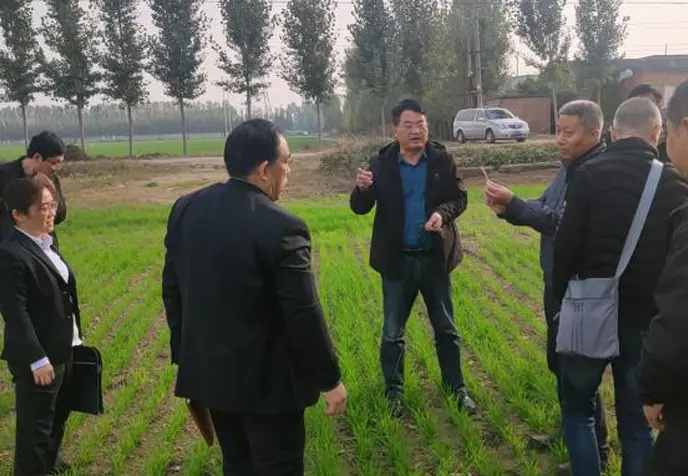 農業發展部組織召開小麥苗情觀摩會