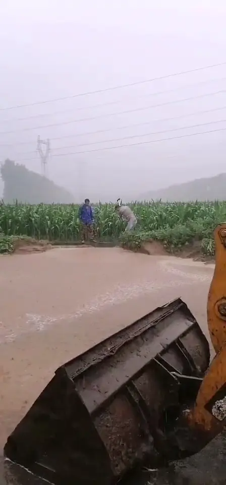 博農乳業黨支部 黨員防汛搶險沖鋒在一線