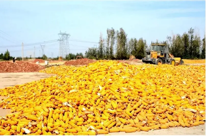 黨建引領促生產  凝心聚力保安全